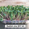 Organic Radish DIY micro green kit