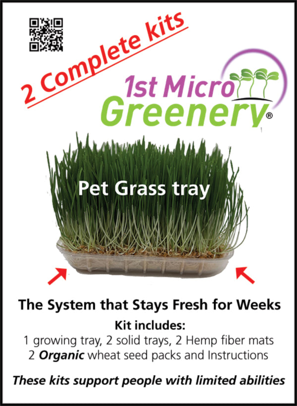 Organic DIY Pet Grass kit