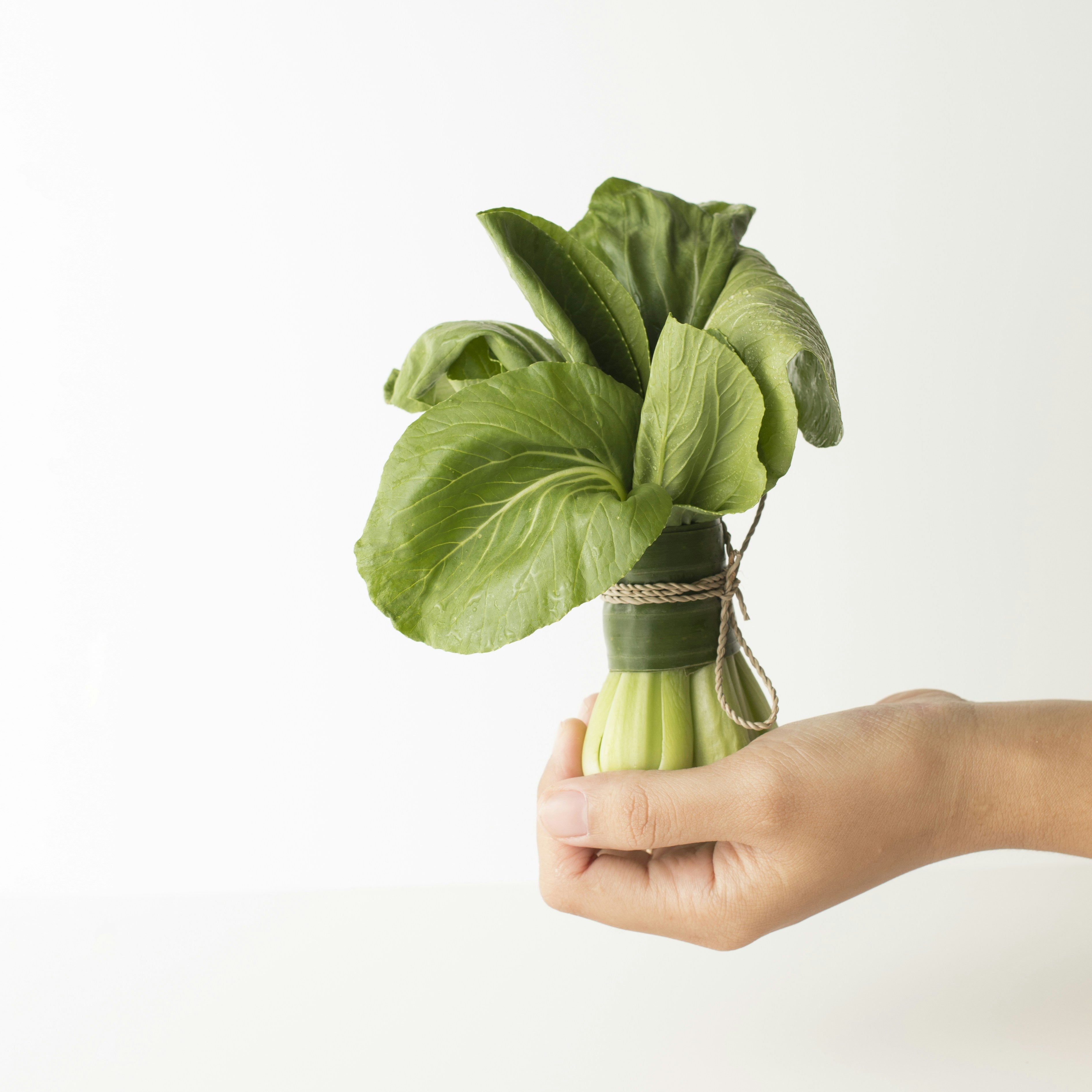 Hand holding a bundle of green leafy vegetables against a white background